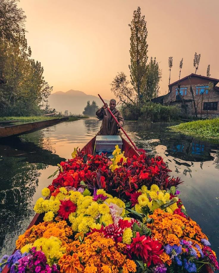 🌄 Kashmir Delight – 5 Nights / 6 Days